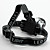  21-LED 4-Mode Headlamp (3xAAA)