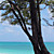  Coastal Landscapes Beach and Tropical Nature Mural