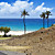  Coastal Landscapes Beach and Tropical Nature Mural