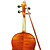  casanova - (CSN-L1) 4/4 Archaize Flame Maple Violin with Case/Bow/Rosin