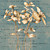  Botanica Parole floreali e oggetti contemporanei murali Natura Grafica