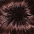  Capless Brown Elegant Short Wig of High Quality