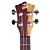  ELLA - (UK-4308SSS) All-solid Red Cedar Tenor Ukulele with Bag