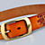  femmes d'impression de base ceinture en cuir (108 * 3.8 * 0.3cm)