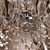  Luxury Crystal Chandelier with 6 Lights