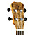  TOM - (TUC-800) Saplted Maple Concert Ukulele with Bag