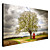  Printed Art Botanical Tree Never Alone by Philippe Sainte-Laudy