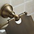  Antique Brass Wall-mounted Toilet Roll Holder (1018-J-29-6)