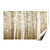  Printed Art Landscape Forest Mist by Pela + Silverman