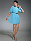  Chiffon Sheath/Column Jewel Short/Mini Evening Dress