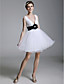 Ball Gown V-neck Short/Mini Tulle Over Satin Cocktail Dress