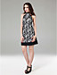  Sheath/ Column High Neck Short/ Mini Lace Cocktail Dress