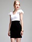  TS Lace Shoulder Bodycon Dress