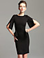  TS Vintage Style Open Sleeve Sheath Dress