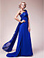  A-line One Shoulder Sweep/Brush Train Chiffon Mother of the Bride Dress