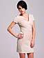  TS Heart-shaped Lace Sheath Dress