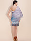  ts en skulder havet slag chiffon print kjole