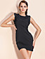  TS Sleeveless Lace Sheath Dress
