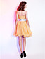  A-line Sweetheart Knee-length Organza Cocktail Dresses