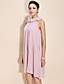  TS Ruffle High Neck Pleated Dress