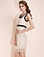  TS Lined Lace Bow Midi Dress
