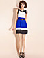 TS Tri-color Belted Dress