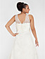 A-line V-neck Chapel Train Lace Plus Size Wedding Dress