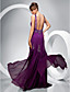  Sheath/Column Scoop Floor-length Chiffon Evening Dress