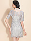  TS Simplicity Mid Sleeve Lace Dress