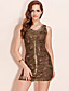  TS Chain Tassel Embellished Mesh Bodycon Dress (More Colors)