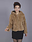 Long Sleeve Hooded Collar Office Rex Rabbit Fur Jacket(More Colors)