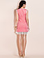  ts robe vintage en dentelle sans manches bodycon
