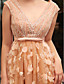  A-line V-neck Sweep Brush Train Tulle Over Chiffon Luxurious Dresses