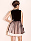  TS Velvet Lace Dress With Mesh Shell