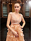  A-line V-neck Sweep Brush Train Tulle Over Chiffon Luxurious Dresses