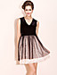  TS Velvet Lace Dress With Mesh Shell
