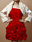  Elegante Faux Fur Long Sleeves Wedding / Evening Jacken / Wraps (mehr Farben)