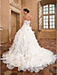  Ball Gown Sweetheart Strapless Chapel Train Organza Crystal Detailing Wedding Dress With A Wrap