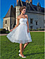  Ball Gown Sweetheart Knee-length Tulle Wedding Dress