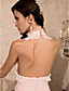  Mantel / Spalte Halfter Sweep / Pinsel Zug Chiffon Abendkleid