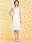  TS VINTAGE Perspective Lace Ruffle Hem Dress