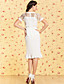  TS VINTAGE Perspective Lace Ruffle Hem Dress