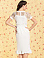  TS VINTAGE Perspective Lace Ruffle Hem Dress