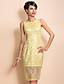  TS Simplicity Gold Lace Sleeveless Sheath Dress