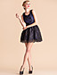  TS VINTAGE Bow Back Lace Sleeveless Princess Dress