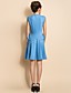  TS Sleeveless Slim Waist Swing Jersey Dress