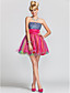  A-line|Princess Strapless Short/Mini  Satin|Tulle Evening Dress