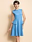  TS Sleeveless Slim Waist Swing Jersey Dress