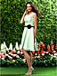  CASSIE - Bruidsmeisjesjurk van Chiffon