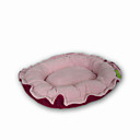 Coral Ped Bed Size:M (G-029) (Start From 10 Units)-Free Shipping